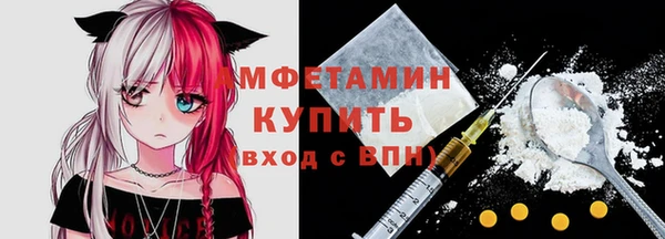 шишки Беломорск