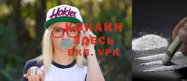 шишки Беломорск
