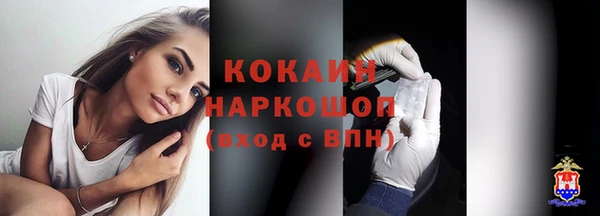 шишки Беломорск