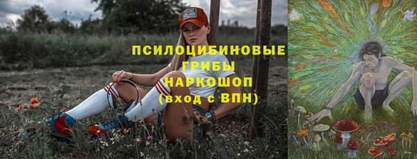apvp Белокуриха