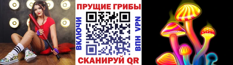 Псилоцибиновые грибы Cubensis  Нерчинск 
